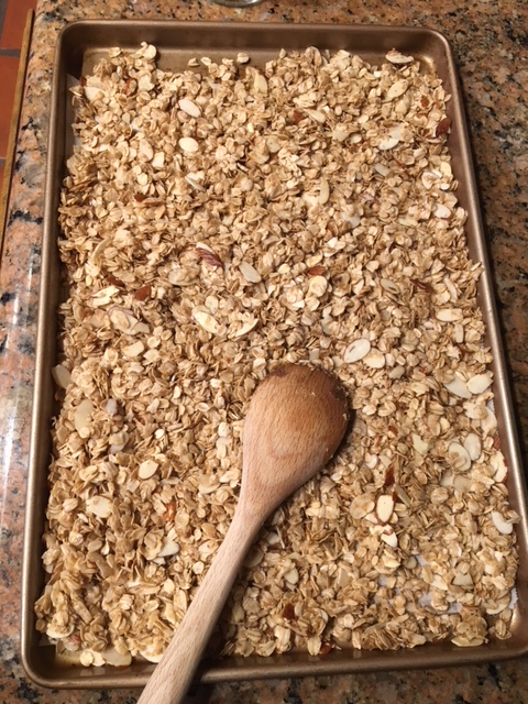 DFTSI Cherry Berry Granola_1054